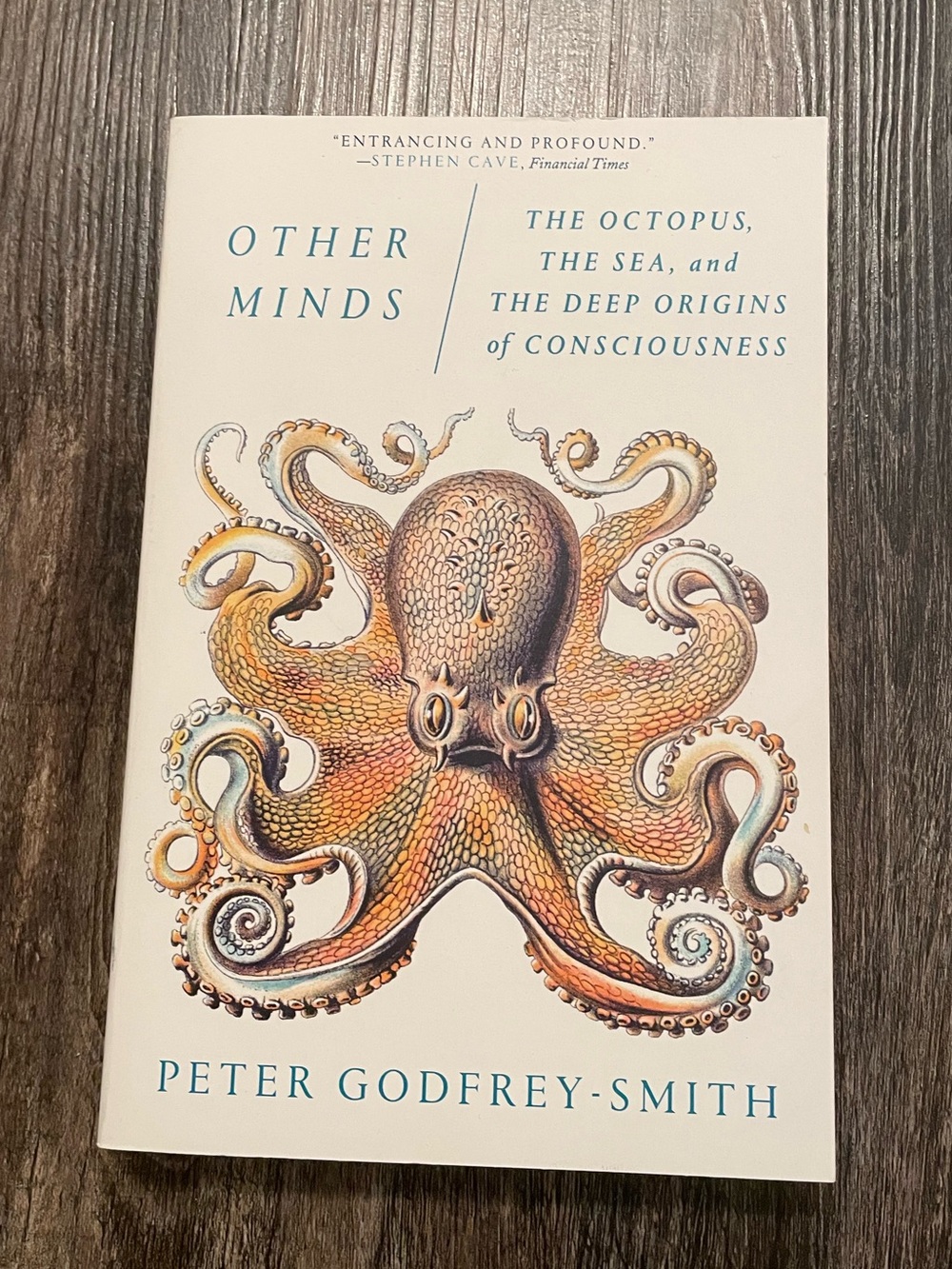 Other Minds Book